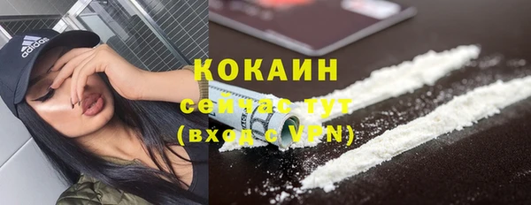 винт Абаза