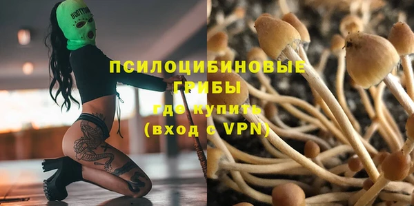 винт Абаза
